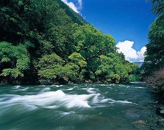 《驱灵者：新伊甸的幽灵》媒体评分解禁 IGN 7分