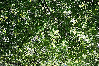 NVIDIA RTX 3050转为GA107 GPU 功耗降低15W